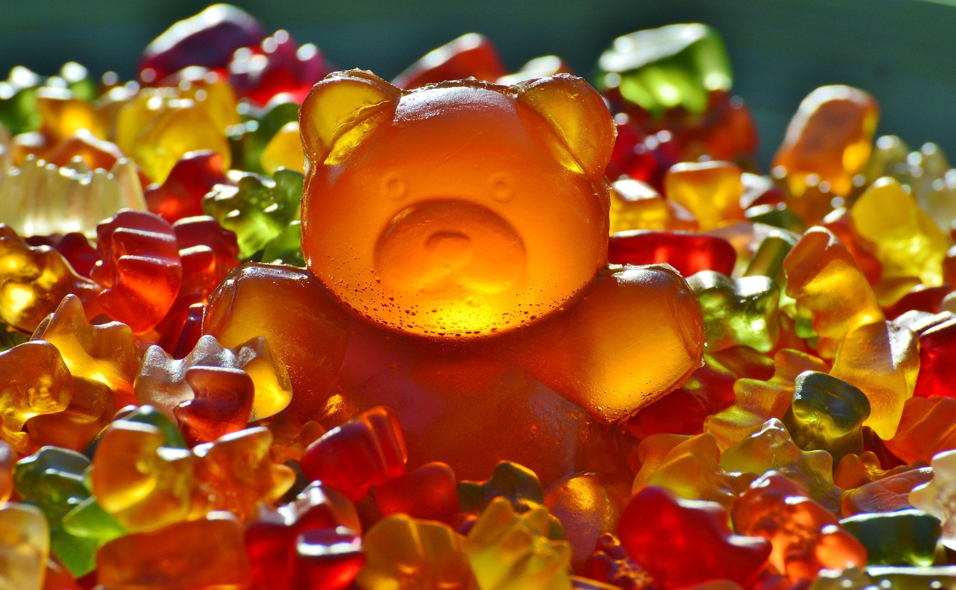 The greatest gummy bearbs money can never buy